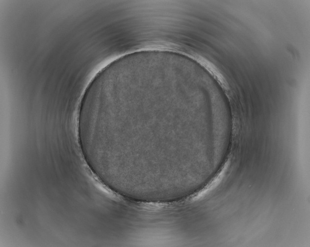 X0000111790854200908201130