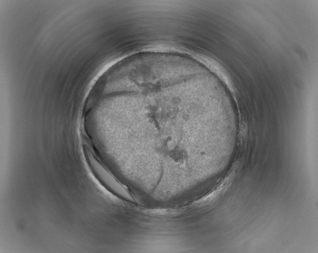 X0000111790855200908201130