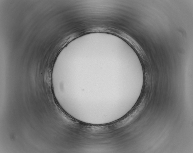 X0000111790857200908201130