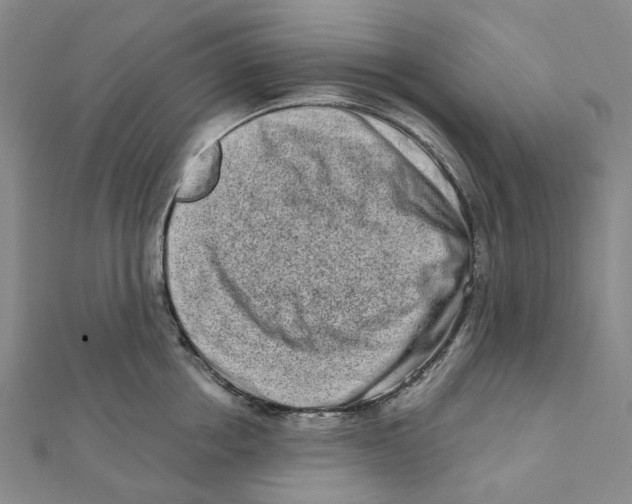 X0000111790858200908201130