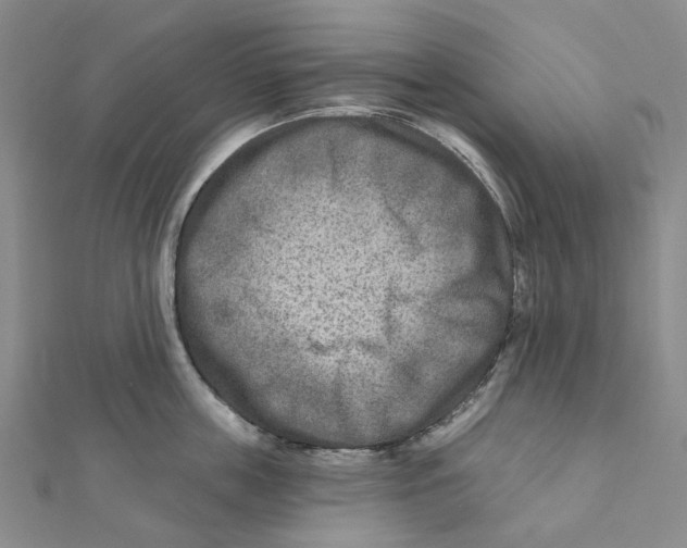 X0000111790859200908201130