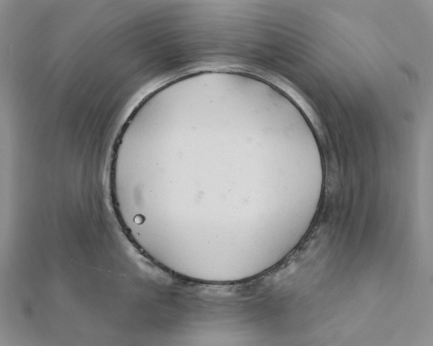 X0000111790861200908201130