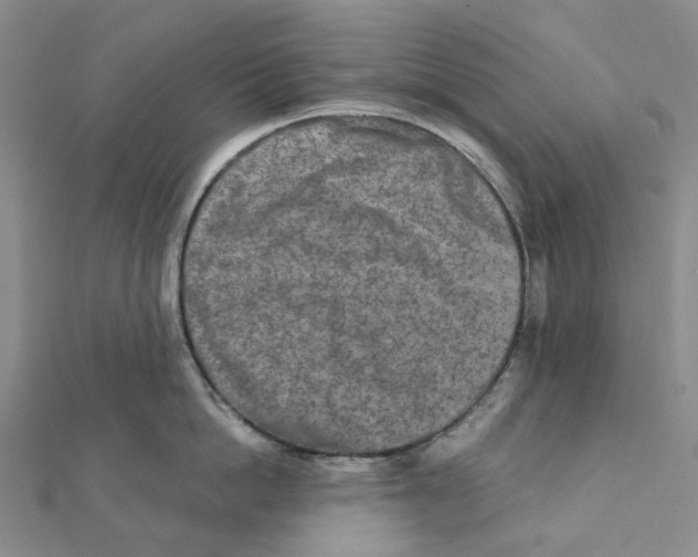 X0000111790862200908201130