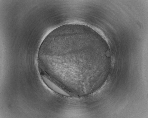 X0000111790863200908201130