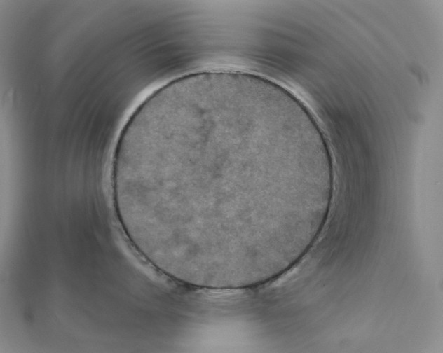 X0000111790864200908201130