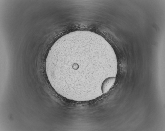 X0000111790865200908201129