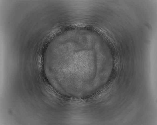 X0000111790866200908201129