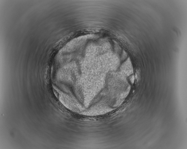 X0000111790867200908201129