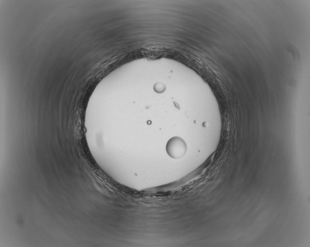 X0000111790868200908201129