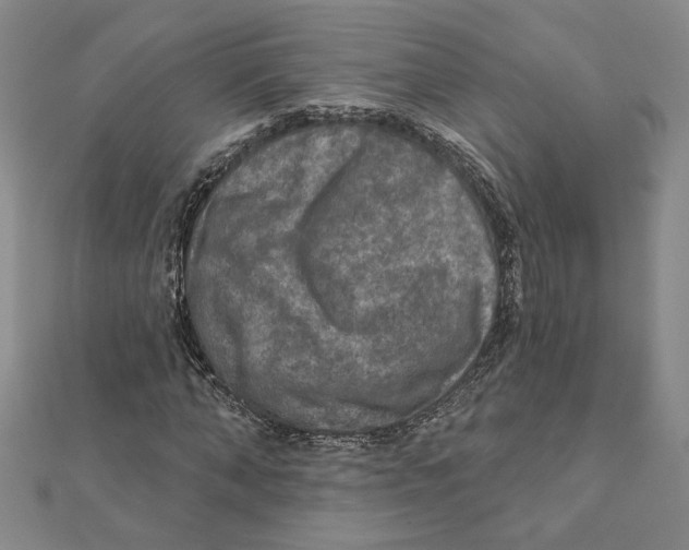 X0000111790870200908201129