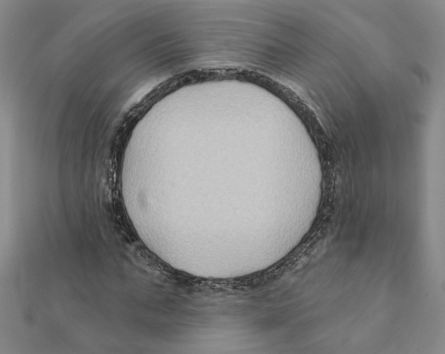 X0000111790871200908201129