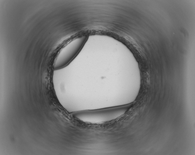 X0000111790872200908201129