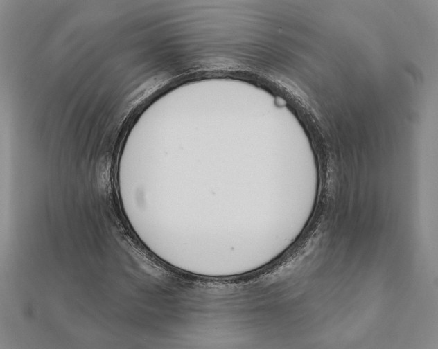 X0000111790873200908201129