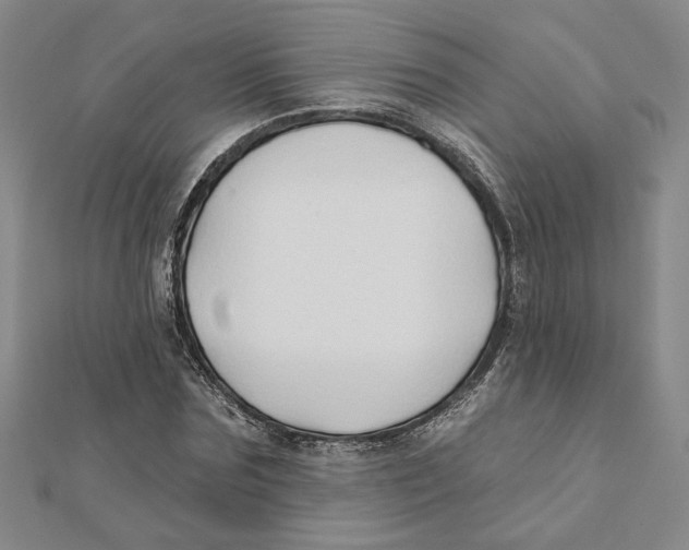 X0000111790875200908201129