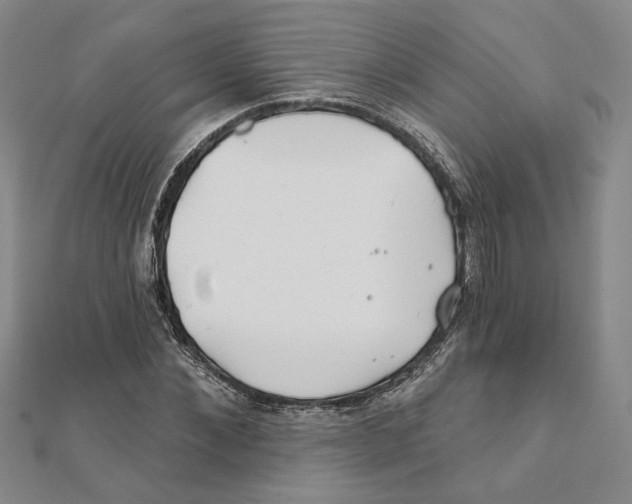 X0000111790876200908201129