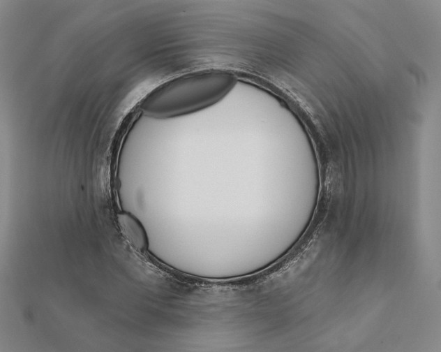 X0000111790877200908201129