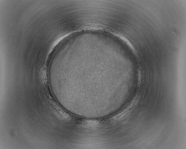 X0000111790878200908201129