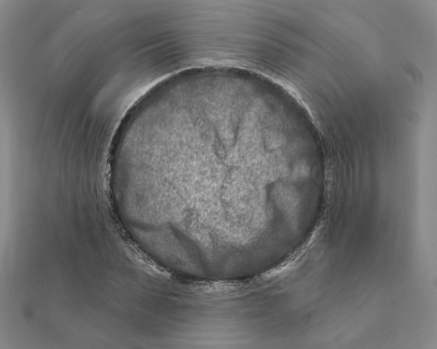 X0000111790879200908201129