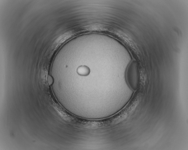 X0000111790881200908201129