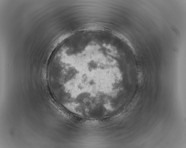 X0000111790882200908201129