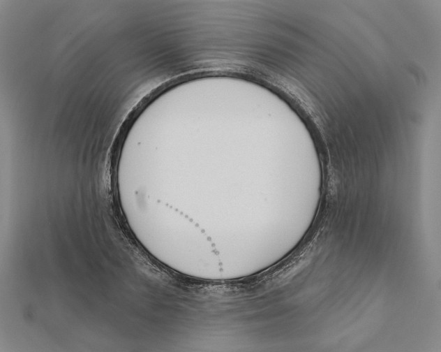 X0000111790883200908201129