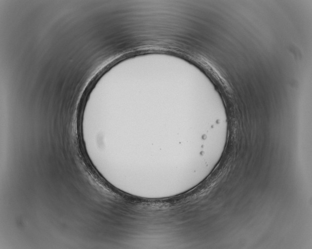 X0000111790884200908201129