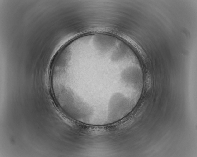 X0000111790886200908201129