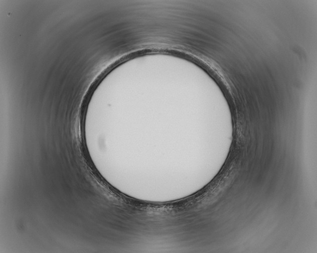 X0000111790887200908201129