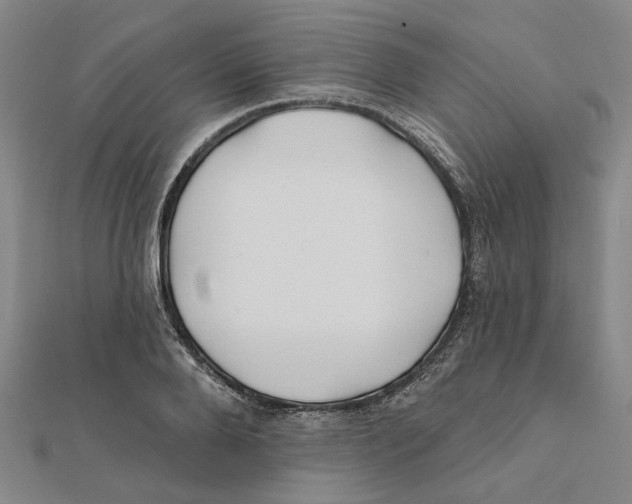 X0000111790888200908201129