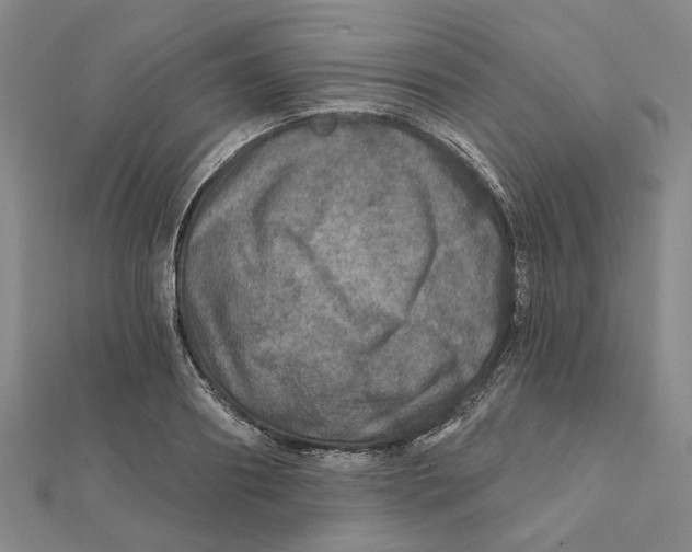 X0000111790890200908201129