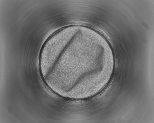 X0000111790891200908201129