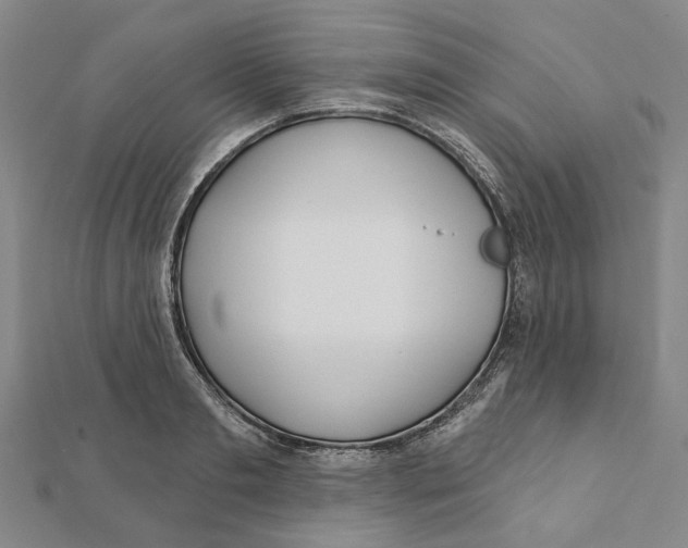 X0000111790893200908201129