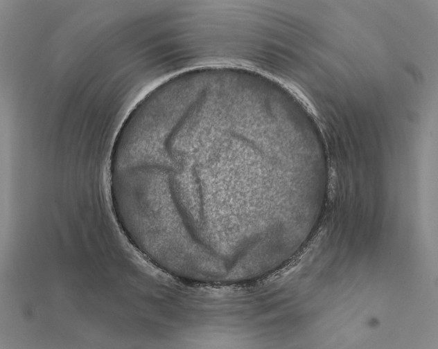 X0000111790895200908201129