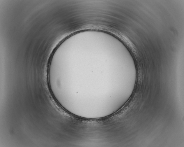 X0000111790896200908201129