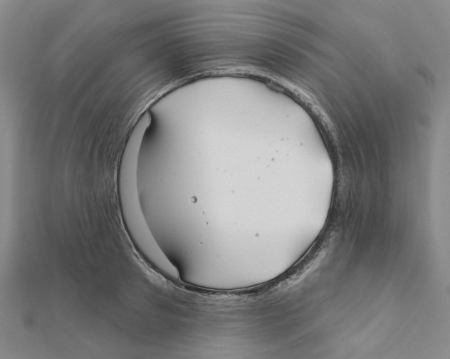 X0000111790897200908201129