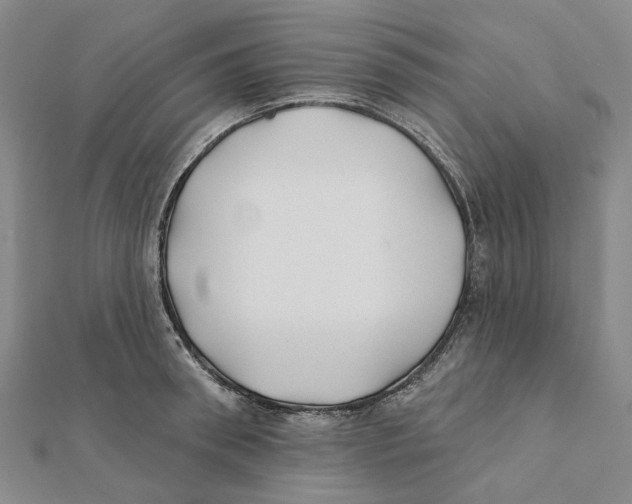 X0000111790898200908201129