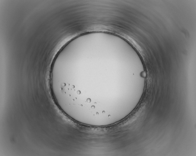 X0000111790901200908201129