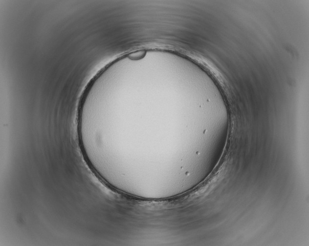 X0000111790902200908201129