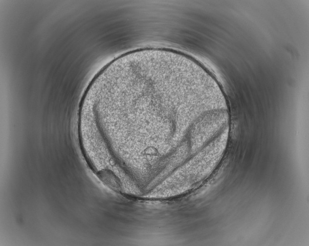 X0000111790903200908201129