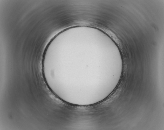 X0000111790904200908201129