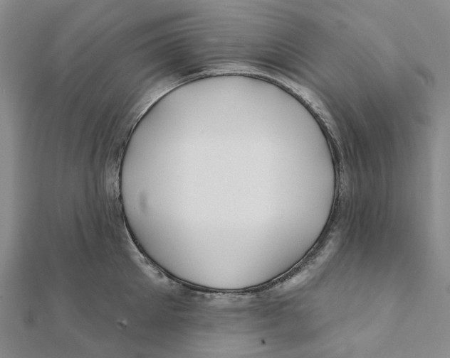 X0000111790905200908201129