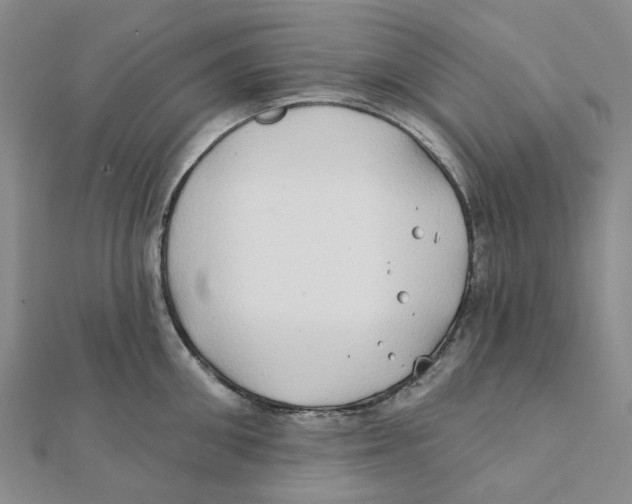 X0000111790906200908201129