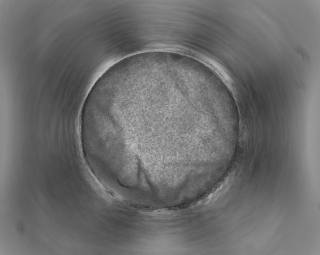 X0000111790907200908201129