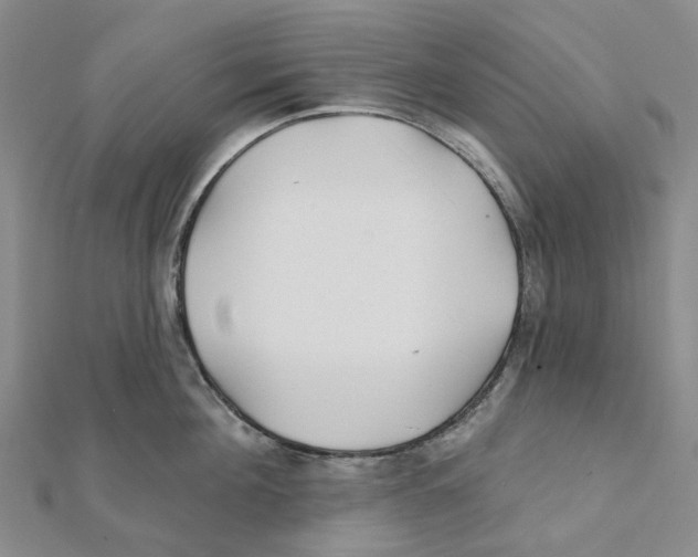 X0000111790908200908201129