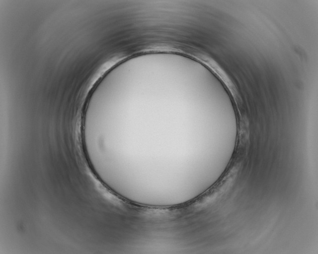 X0000111790909200908201129