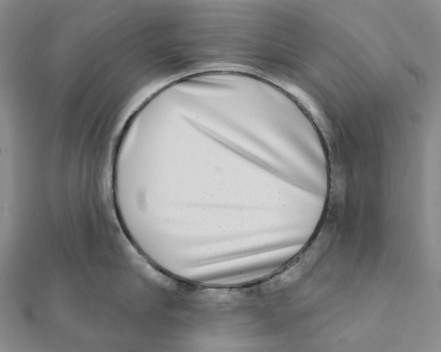 X0000111790910200908201129