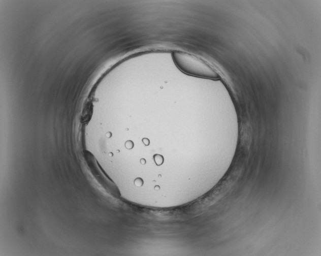 X0000111790911200908201129