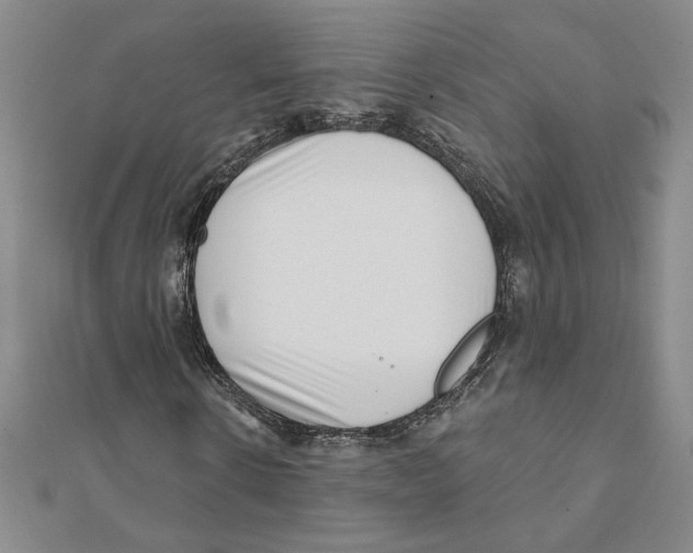 X0000111790914200908201128