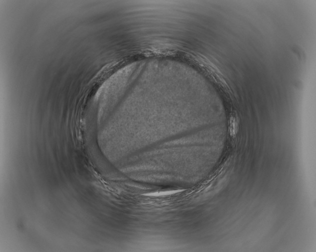 X0000111790915200908201128