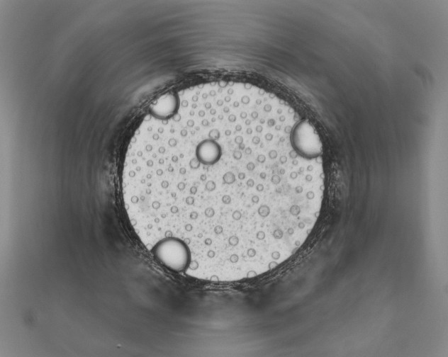 X0000111790918200908201128